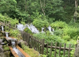 【日本北海道夏日遊】 – Day 2 Niseko二世古飲羊蹄山的清甜泉水+ 快閃洞爺湖