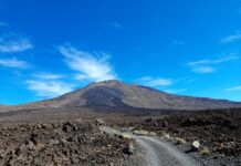 【西班牙加那利群島旅行】令人驚喜不已的西班牙火山島 – 特內裡費島Tenerife景點推薦!